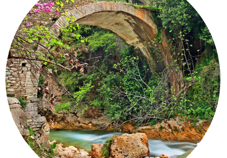 Hleia-Neda-1124×782